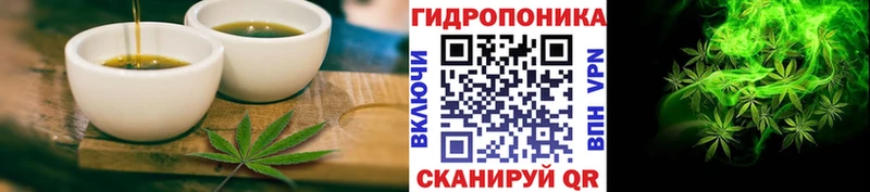 KRAKEN ссылка  Кедровый  Cannafood конопля 